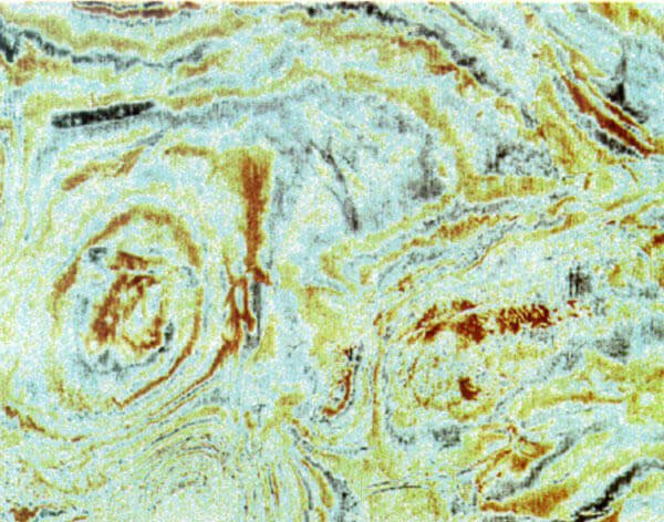 Dlbarg Petroleum provide G&G services