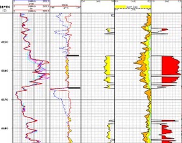 Dlbarg Petroleum provide G&G services