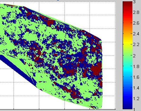 Dlbarg Petroleum provide G&G services