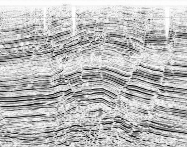 Dlbarg Petroleum provide G&G services